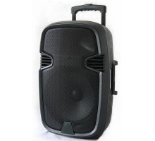 Колонка Bluetooth передвижная GZ-1515