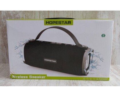 Колонка Hopestar H24