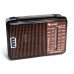Радиоприемник Golon 608